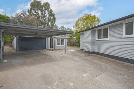 Photo of property in 60 Downing Avenue, Pirimai, Napier, 4112