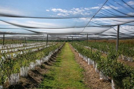 Photo of property in 1/3200 Cambridge Road, Rotoorangi, Cambridge, 3495