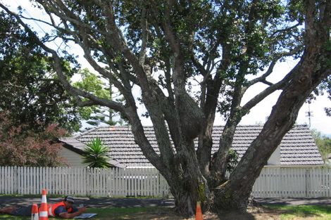 Photo of property in 1/15 Gilfillan Street, Blockhouse Bay, Auckland, 0600