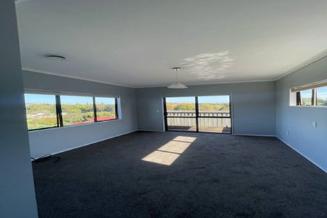 Photo of property in 20 Brownlee Place, Pukekohe, 2120