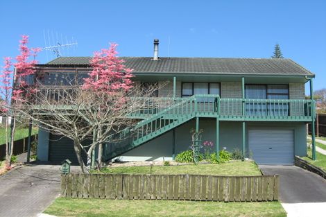 Photo of property in 10 Hartis Avenue, Huntly, 3700