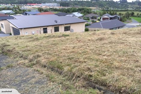 Photo of property in 19 Caldera Crescent, Pyes Pa, Tauranga, 3112