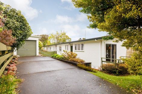 Photo of property in 1 Belmont Place, Terrace End, Palmerston North, 4410