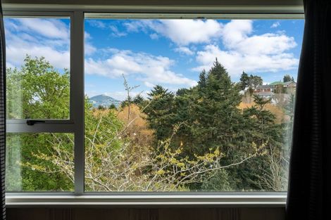 Photo of property in 30 Panmure Avenue, Calton Hill, Dunedin, 9012