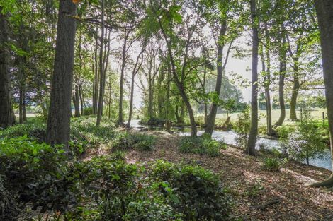 Photo of property in Ashfield, 410 Orari Station Road, Geraldine, 7992