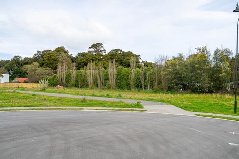 Photo of property in 45 Orchard Road, Greytown, 5712