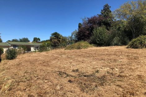 Photo of property in 90 Porangahau Road, Waipukurau, 4200