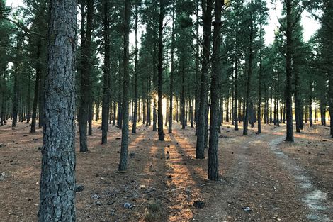 Photo of property in 390d Letts Gully Road, Letts Gully, Alexandra, 9393