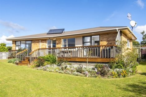 Photo of property in 18 Vine Avenue, Maungatapu, Tauranga, 3112