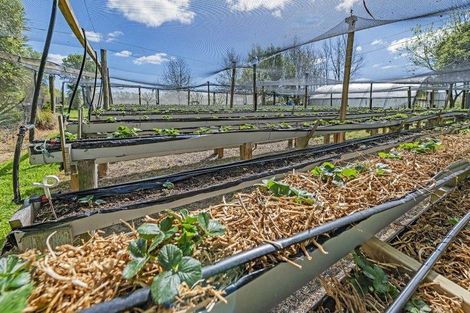 Photo of property in 1520 Tram Road, Swannanoa, Rangiora, 7475