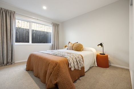 Photo of property in 10a Hinau Street, Maeroa, Hamilton, 3200