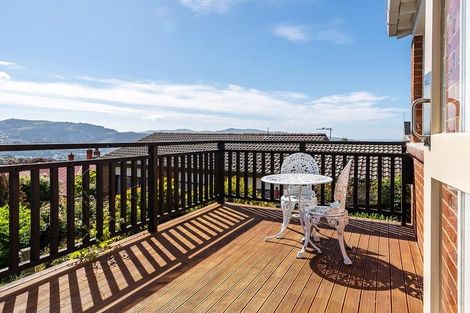 Photo of property in 21 Sheen Street, Roslyn, Dunedin, 9010