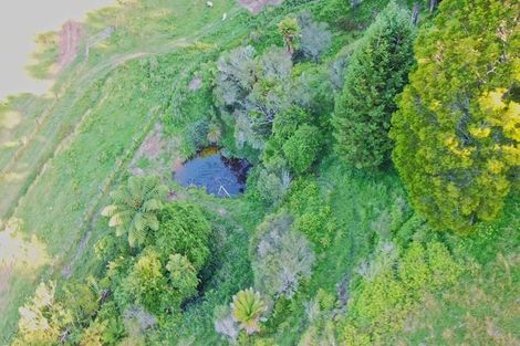 Photo of property in 822 Motukawa Road, Tarata, Inglewood, 4387