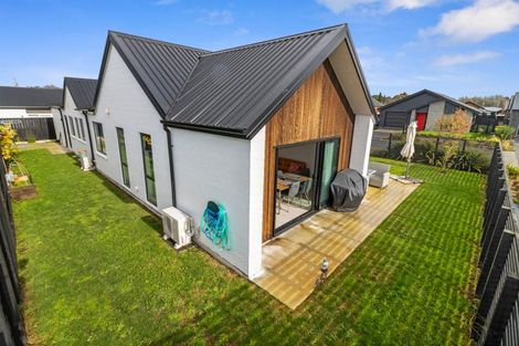 Photo of property in 22 Naismith Street, Chartwell, Hamilton, 3210