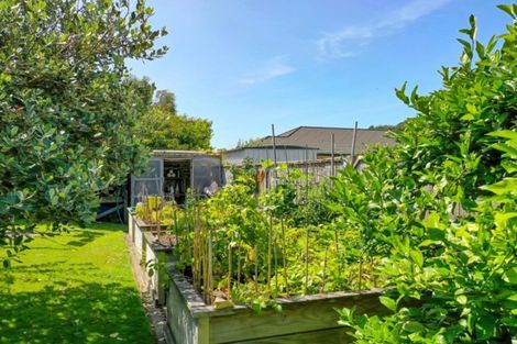 Photo of property in 50 Harbour Road, Ohope, 3121