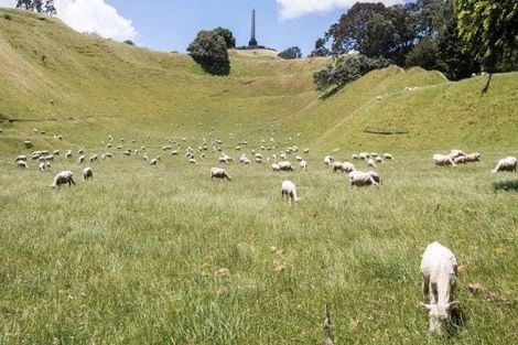 Photo of property in 1/696 Manukau Road, Royal Oak, Auckland, 1023