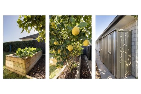 Photo of property in 12b Kayelene Place, Omokoroa, 3114