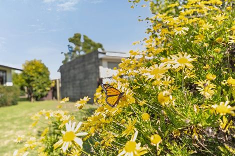 Photo of property in 2 Desmond Place, Bell Block, New Plymouth, 4312