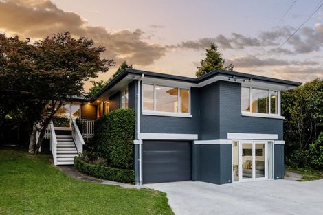 Photo of property in 19 Wymer Terrace, Chartwell, Hamilton, 3210