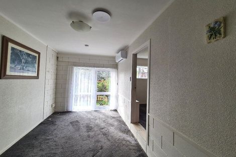 Photo of property in 66 Mayfair Crescent, Mairangi Bay, Auckland, 0630