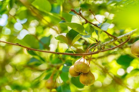 Photo of property in 64 Sherwood Road, Onerahi, Whangarei, 0110