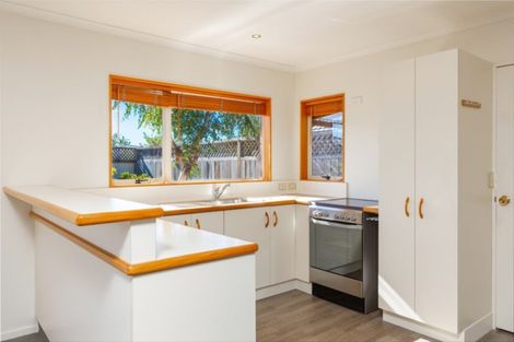 Photo of property in 127a Weld Street, Redwoodtown, Blenheim, 7201