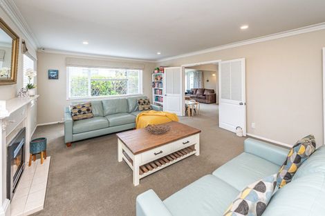 Photo of property in 43 Parkes Avenue, Saint Johns Hill, Whanganui, 4501