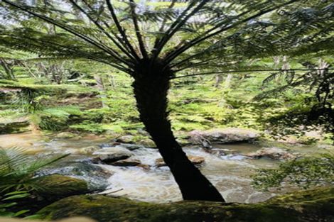 Photo of property in 275 Lillis Lane, Coromandel, 3506