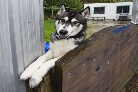 Photo of property in 52 Raglan Street, Lansdowne, Masterton, 5810