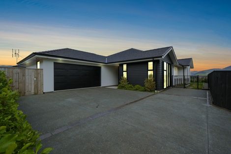 Photo of property in 111 John Burke Drive, Aotea, Porirua, 5024