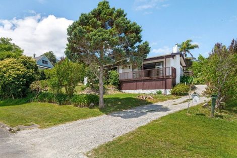 Photo of property in 43a Winter Street, Mangapapa, Gisborne, 4010