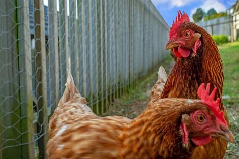 Photo of property in 33 Jane Way, Hairini, Tauranga, 3112