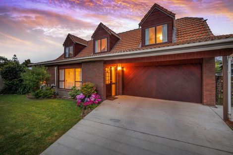 Photo of property in 483b Ruahine Street, Terrace End, Palmerston North, 4410