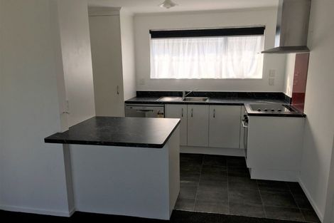 Photo of property in 65a1-2 Vogel Street, Roslyn, Palmerston North, 4414
