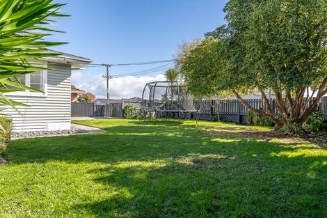 Photo of property in 25 Taylor Terrace, St Andrews, Hamilton, 3200