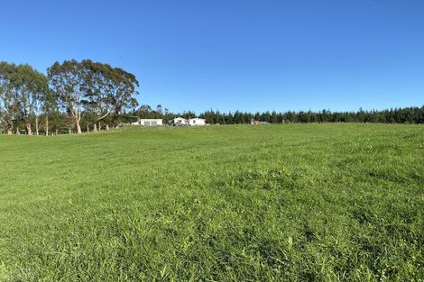 Photo of property in 1302 Pongakawa Bush Road, Pongakawa, Te Puke, 3186