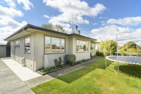 Photo of property in 17 Forbury Avenue, Takaro, Palmerston North, 4412