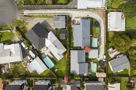 Photo of property in 61 Graham Avenue, Te Atatu Peninsula, Auckland, 0610