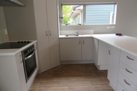 Photo of property in 45 Samuel Street, Hoon Hay, Christchurch, 8025