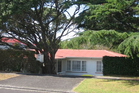Photo of property in 29 Wattle Street, New Lynn, Auckland, 0600