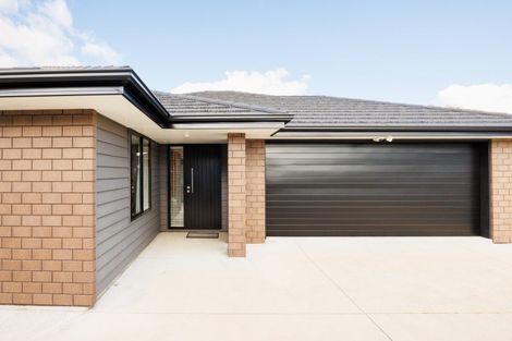 Photo of property in 3b Innes Place, Roslyn, Palmerston North, 4414