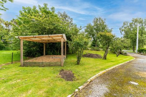 Photo of property in 236 Main Road, Waikouaiti, 9510