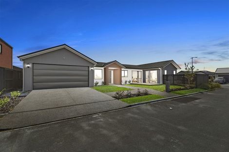 Photo of property in 31 Couldsack Avenue, Chartwell, Hamilton, 3210