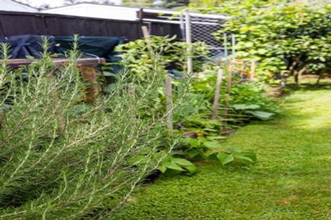 Photo of property in 3 Sheridan Crescent, Leamington, Cambridge, 3432