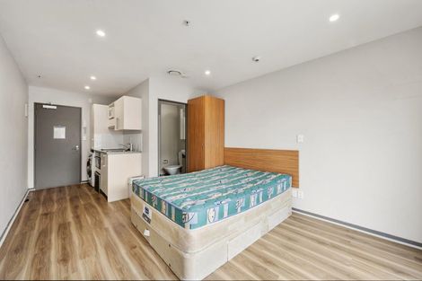 Photo of property in Dual Apartments, 506/142 Vivian Street, Te Aro, Wellington, 6011