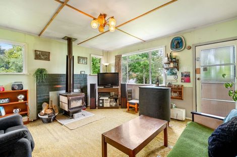 Photo of property in 19 Campbelton Street, Lawrence, 9532