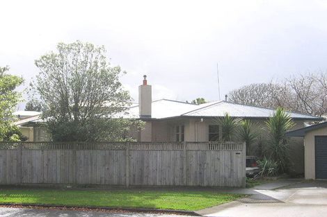 Photo of property in 53 Churchill Avenue, Hokowhitu, Palmerston North, 4410