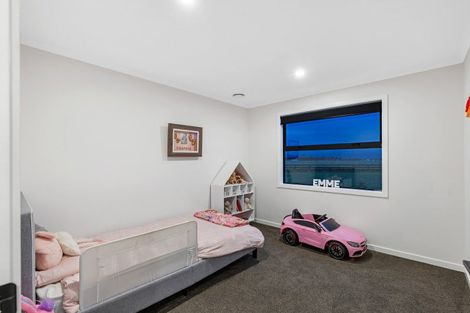 Photo of property in 77 Aranui Road, Kairanga, Palmerston North, 4475