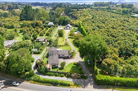 Photo of property in 532a State Highway 2, Minden, Tauranga, 3176