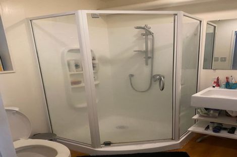 Photo of property in 132 Aro Street, Aro Valley, Wellington, 6021